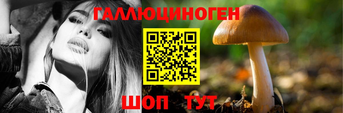 продажа наркотиков  Псилоцибиновые грибы мицелий  Вход с VPN  Камышлов 